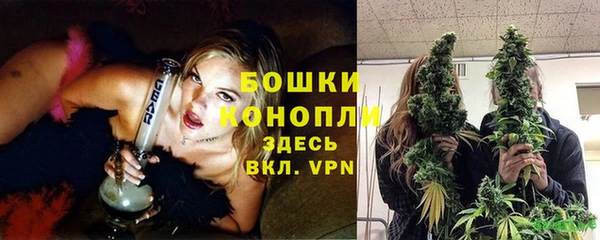 Альфа ПВП Дмитров